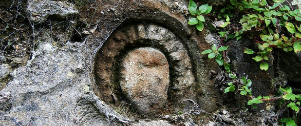 Sheela Na Gig